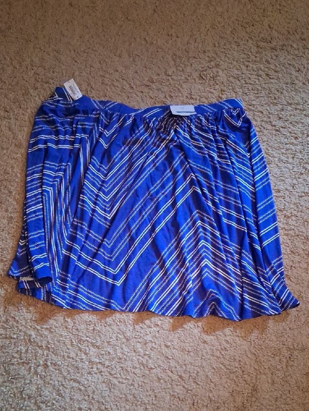 NWT Blue Chevron Print Skater Skirt